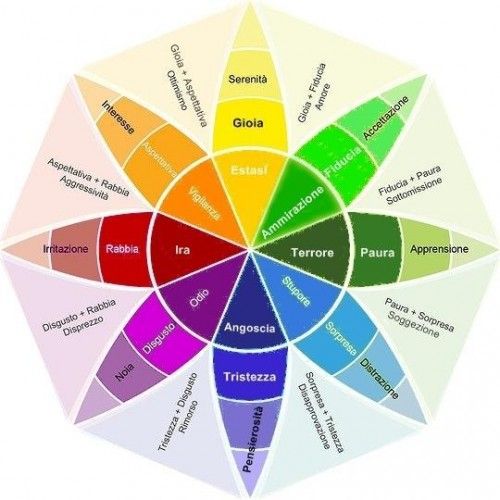 Il fiore delle emozioni.