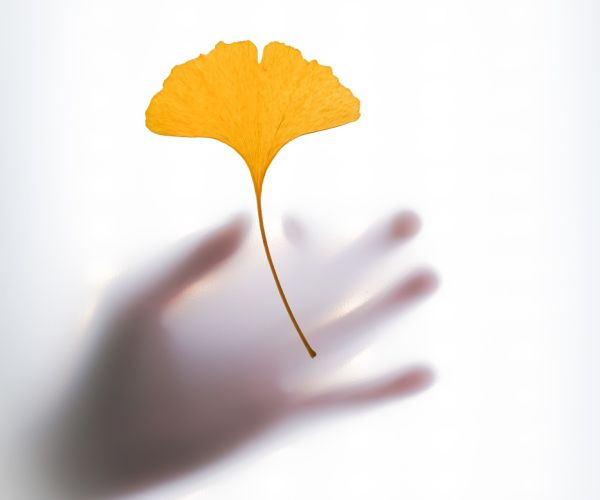 Ansia: quando è il momento di rivolgersi ad uno psicologo?